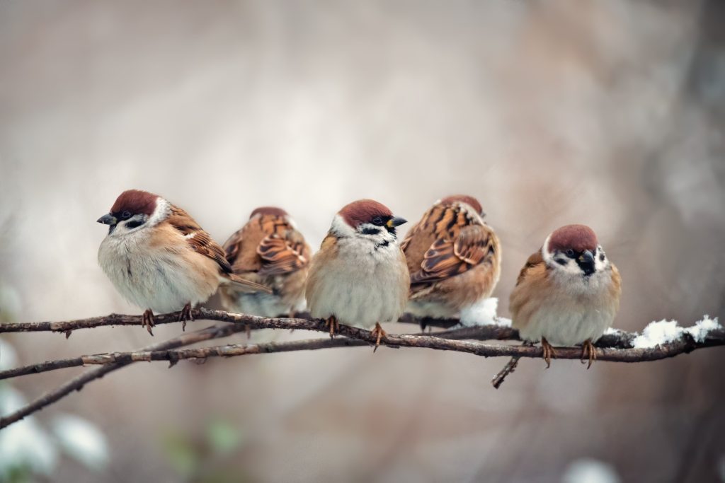Shutterstock 1884532468 min